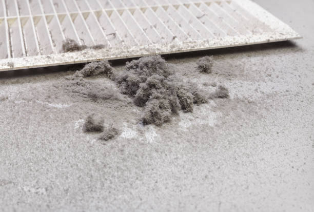 Best Dryer Vent Cleaning Services  in Jersey Shore, PA